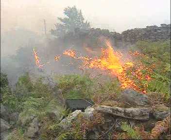 Noticias Nacionales: Incendios, Desempleo…